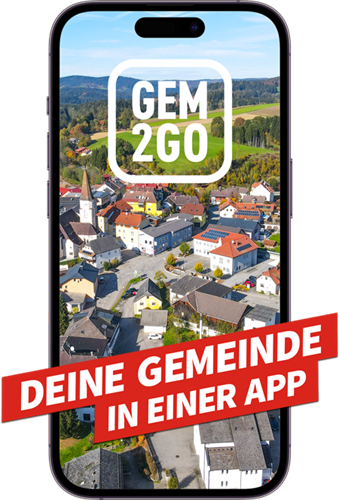 Gem2go Logo